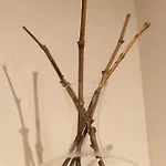 Apartamento Hortus Conclusus + Free Parking