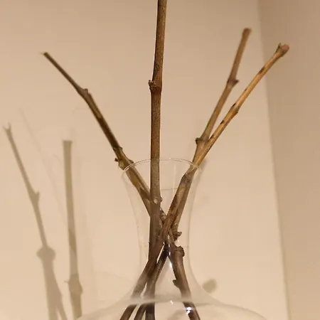 아파트 Hortus Conclusus + Free Parking