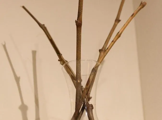 아파트 Hortus Conclusus + Free Parking