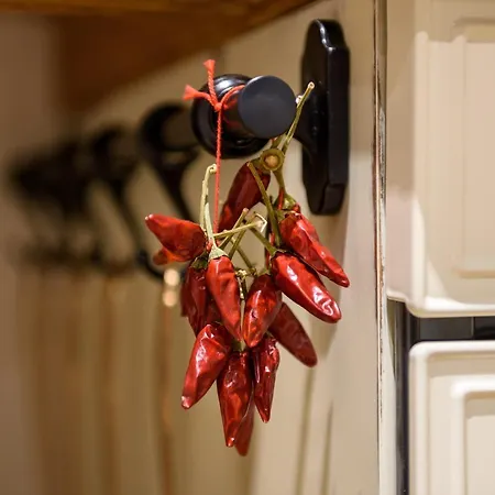 Hortus Conclusus + Free Parking Appartamento Siena